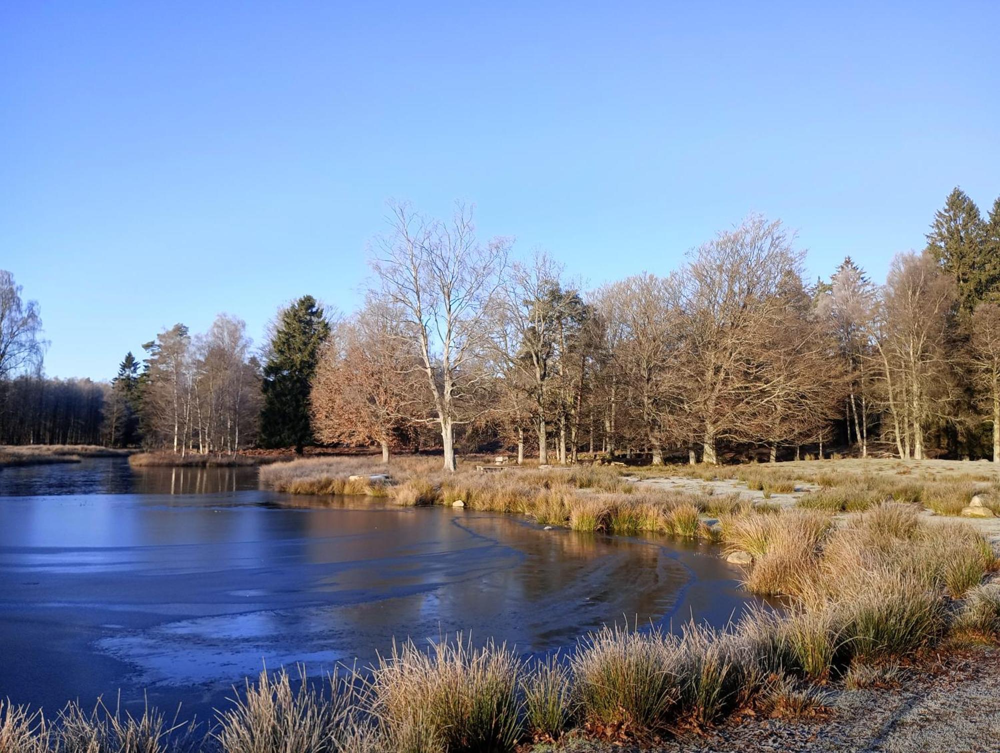 Villa Damwildfarm In Rollerbue Suedschweden à Tyringe Extérieur photo